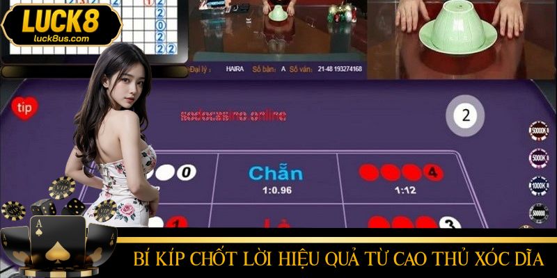 Cách cược xóc đĩa hiệu quả từ những phiên thực chiến của kỳ cựu